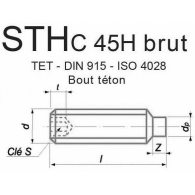 VIS STHC 45H BRUT BOUT TETON DIN 915 ISO 4028