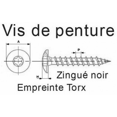 VIS DE PENTURE TORX 6 LOBES INTERNES ACIER ZINGUÉ NOIR