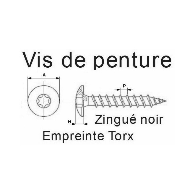 VIS DE PENTURE TORX 6 LOBES INTERNES ACIER ZINGUÉ NOIR
